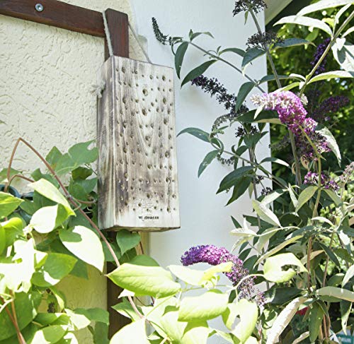 Windhager Wildbienennistholz, Nisthilfe Brutplatz Nistplatz, aus Massivholz, inklusive Schnur zum Aufhängen, braun, 8 x… – Bild 5