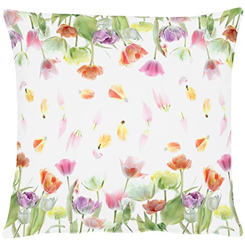 APELT 2206 46 X 46 50 Fodera per Cuscino, Cotone