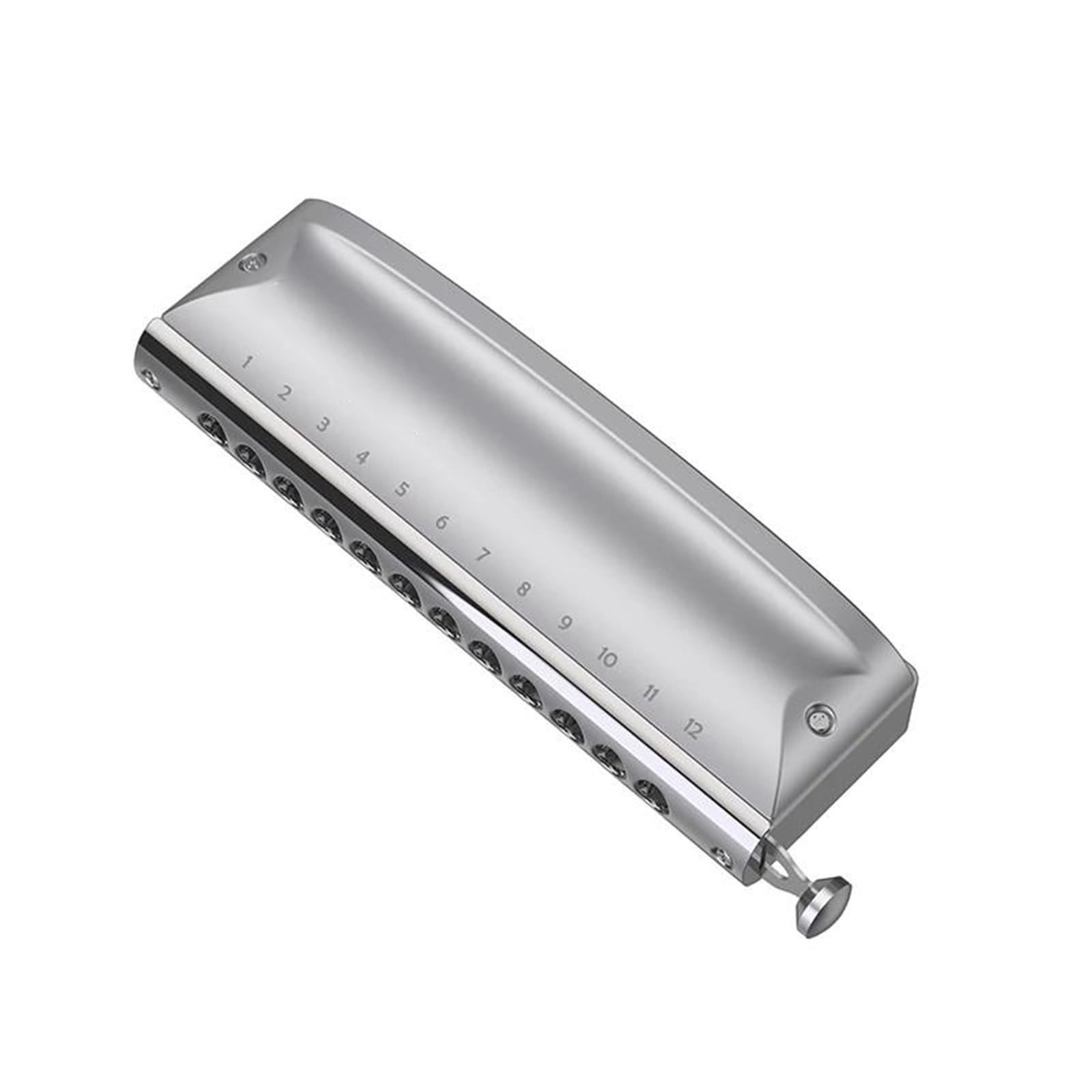 Armonica Cromatica Armonica Cromatica 12 Fori Chiave Per Arpa C