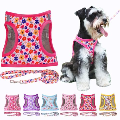 Moonpet Step in Air Dog Harness Leash Set- All Weather Reflective No-Pull Floral Pattern Padded Mesh Vest Harness for Cats Puppy Extra-Small Small Medium Large Dogs