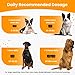 Nootie Glucosamine for Dogs - 250 ct - Hip and Joint Soft Chews Supplement for Dogs - Daily Dog MSM Chondroitin Chews with Turmeric - Joint Care Vitamins for All Breeds and Sizes USA