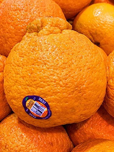 Kejora Fresh Sumo Citrus 4.5 LB - Sweet and Seedless Mandarin Oranges - Thumbnail 2