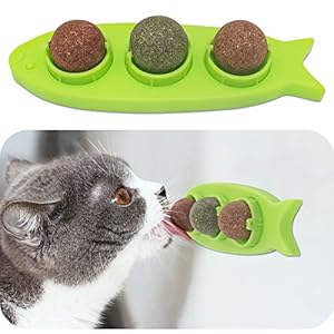 Katzenminze Balls für Katzen, Aucenix Drehbares Leckerli Spielzeug für Katzen, Natürliches Matatabi Zahnreinigung Dental Kätzchen Kauspielzeug, Katzenminze Wandspielzeug für Katzenkätzchen (Grün)