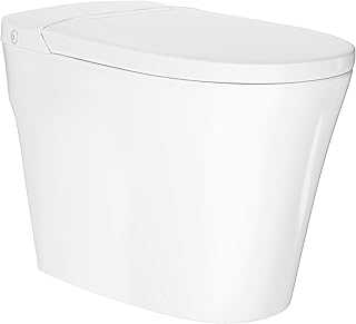Swiss Madison Hugo Power Flush Tankless Toilet 12