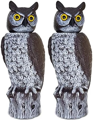 Dalen 2 Each Owl (RH0-4) (2)