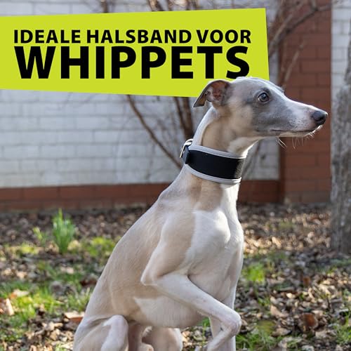 Ferplast Hundehalsband ERGOCOMFORT, Windhundhalsband, weiche Polsterung, Rot