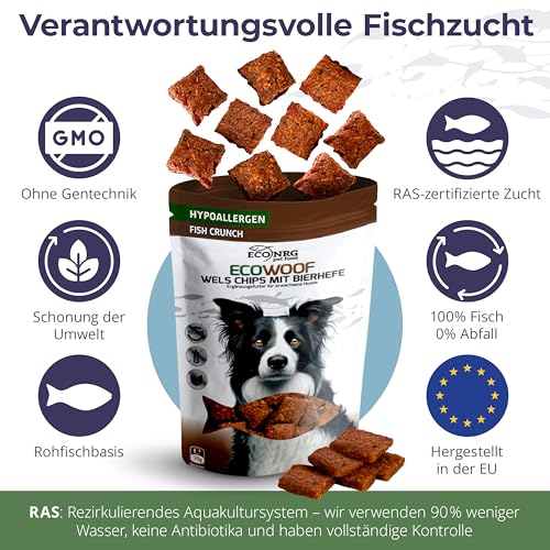 ECO WOOF Fisch Hundeleckerli - Getrocknete Wels Chips 97% mit Bierhefe - 375 g - Getreidefrei - Single-Protein - Mit Omega 3 - Unterstützt stabile Darmflora & Verdauung - Nicht fettend & Geruchsarm