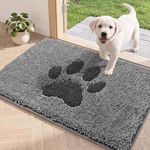 Oiilores Innen Fußmatte, rutschfeste Schmutzfang- und Sauberlaufmatte, maschinenwaschbar, wasserabsorbierende Tür- und Eingangstürmatte, ideal für Hund, Haustür, Grau, 50 x 80 cm