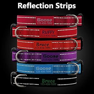 Personalized Dog Collars Custom with Pet Name and Phone Number Soft Neoprene Padded Reflective Nylon Collar 4 Adjustable Sizes for Small Medium Large Dogs  Cucciolini Doodles Personalized dog collars custom with pet name and phone number soft neoprene padded reflective nylon collar 4 adjustable sizes for small medium large dogs   cucciolini doodles