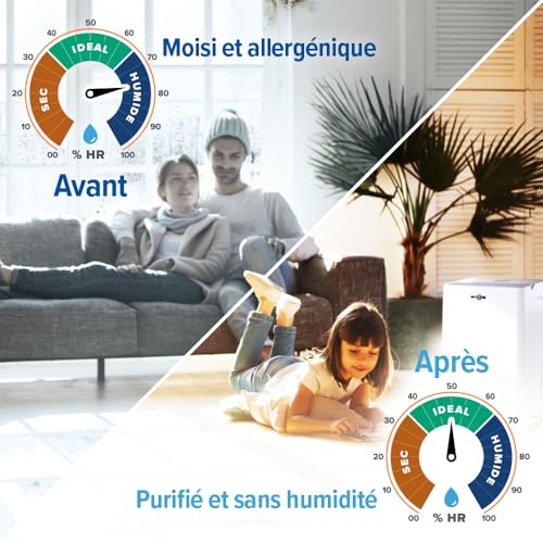 Dryzone Déshumidificateur et Purificateur d'air Électrique Avec Filtre HEPA – Séchage Linge – Anti-Condensation & Moisissures –12L/Jour – Silencieux, Basse Consommation – Image 4