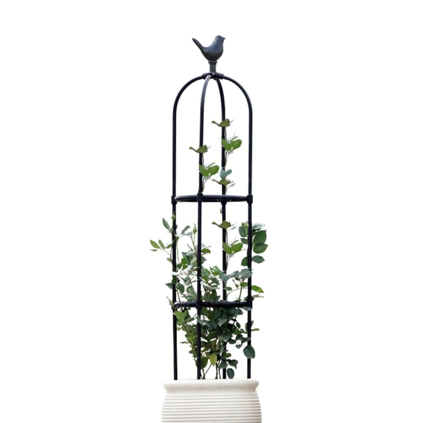 Enrejado de Obelisco de Jardín para Plantas Trepadoras, 165 175 Cm de Alto, Soporte de Plantas Trepadoras de Metal, Balcon Marco para Macetas, Plantas, Tomate, Pepino, Flores, Uva(Black,28 x 175cm/11
