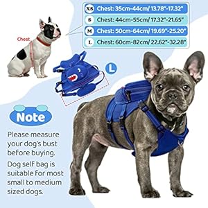   Dog-Harness-Backpack-Cute-Doggie-Backpack-Carrier-for-Small-Medium-Dogs-No-Pull-Dog-Saddle-Bag-Pet-Vest-Mesh-Shark-Self-Bag-with-D-Ring-for-Puppy-Outdoor-Travel-Hiking-Adjustable-Dog-Bag