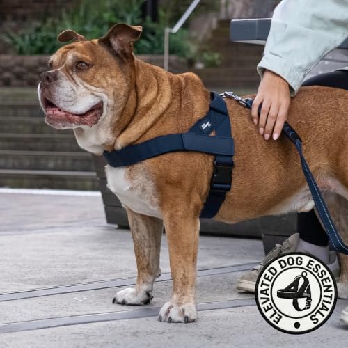 Image of Dog Friendly Co. Dog Harness, Adjustable, No Pull Design (Navy, Medium)