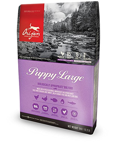 Orijen Large Puppy Dry Dog Food, Chicken Flavor(6 Kg), 1 Count