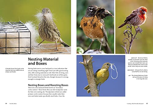 Feed the Birds: Attract and Identify 196 Common North American Birds - Image 9