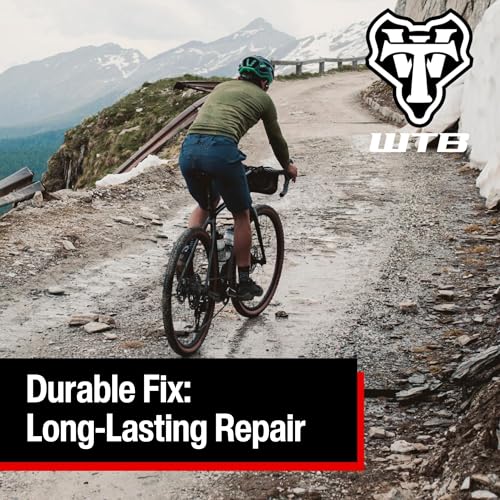Image of WTB Tubeless Bike Tire Sealant (4 oz to 1 Gallon) - Quick Seal for Punctures up to 6mm - All Conditions