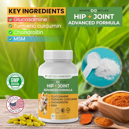 Advanced Hip and Joint Supplement for Dogs Large Breed – Glucosamine for Dogs Mobility & Pain Relief – All Natural Chondroitin, MSM & Turmeric Dog Joint Supplement – 90 Dog Calming Chews Tablets Advanced Hip and Joint Supplement for Dogs Large Breed – Glucosamine for Dogs Mobility & Pain Relief – All Natural Chondroitin, MSM & Turmeric Dog Joint Supplement – 90 Dog Calming Chews Tablets