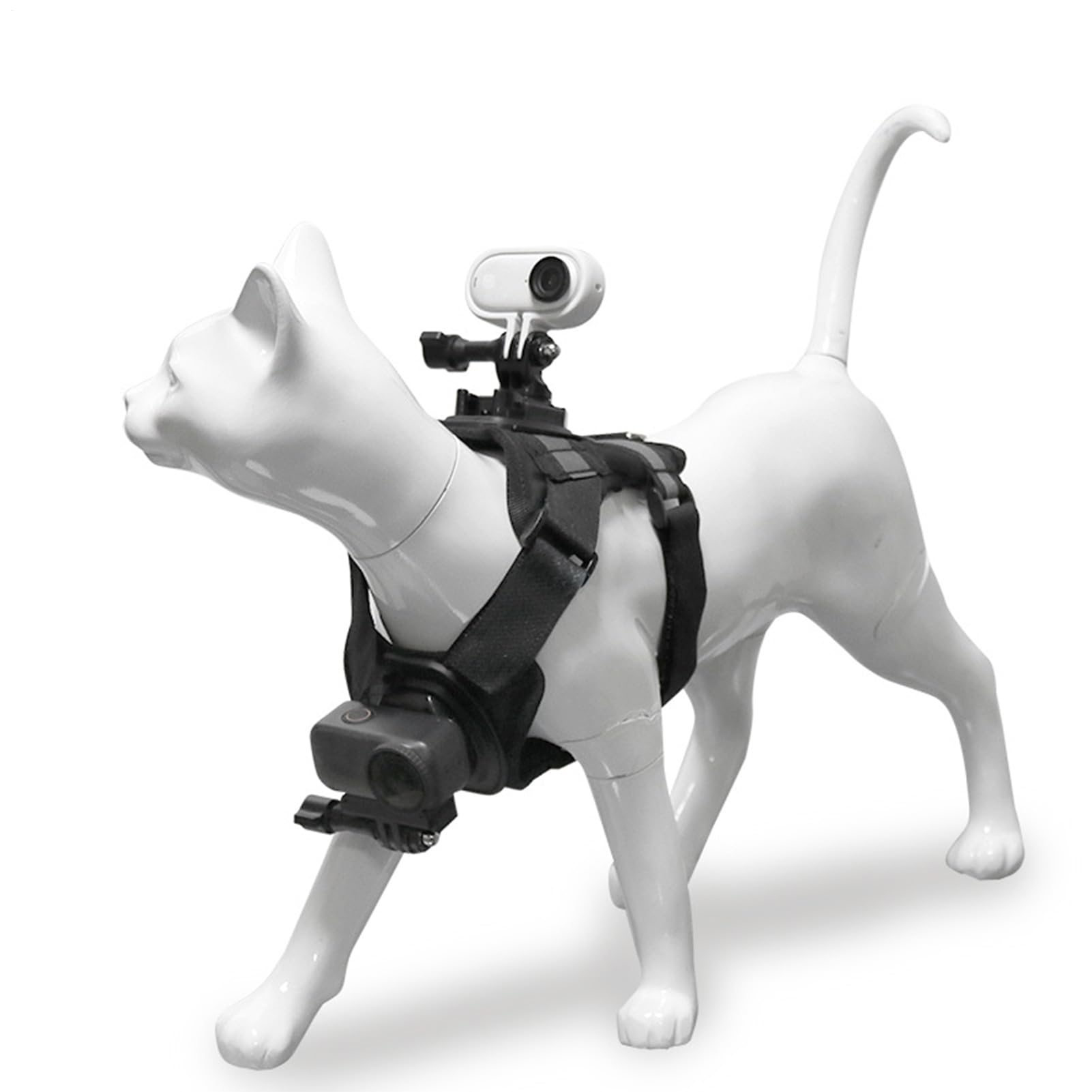 Entlaufgesichertes Katzengeschirr Ausbruchsicher mit Kamerahalterung | Trainingsweste für erwachsene Katzen für Kitten Indoor Outdoor Wandern Training Ausflüge Abenteuer