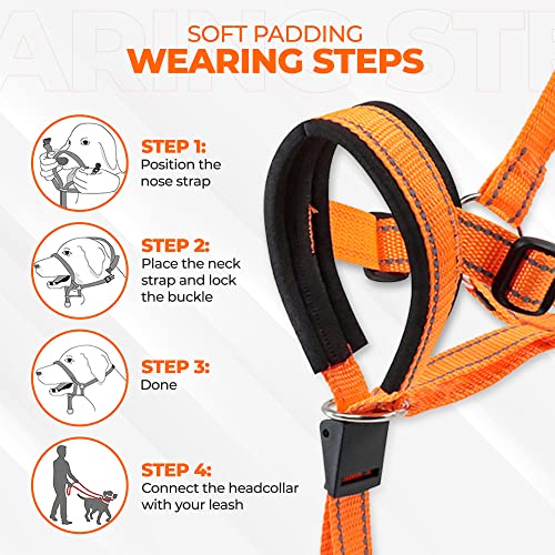 Dog Head Halter With Safety Strap - Headcollar - No-Pull Dog Collar – Perfect For Leash & Harness Training Medium And Large Dog Sizes (Size M (Pack Of 1), Orange) #TOP5