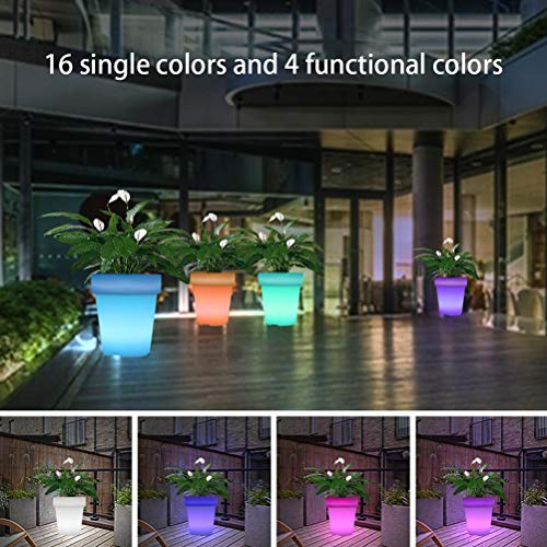 HEEPDD Vaso da Fiori Luminoso a LED, Vaso per Orchidee Ricaricabile Impermeabile con Telecomando per l'arredamento del Giardino Domestico e del Balcone (Con telecomando)