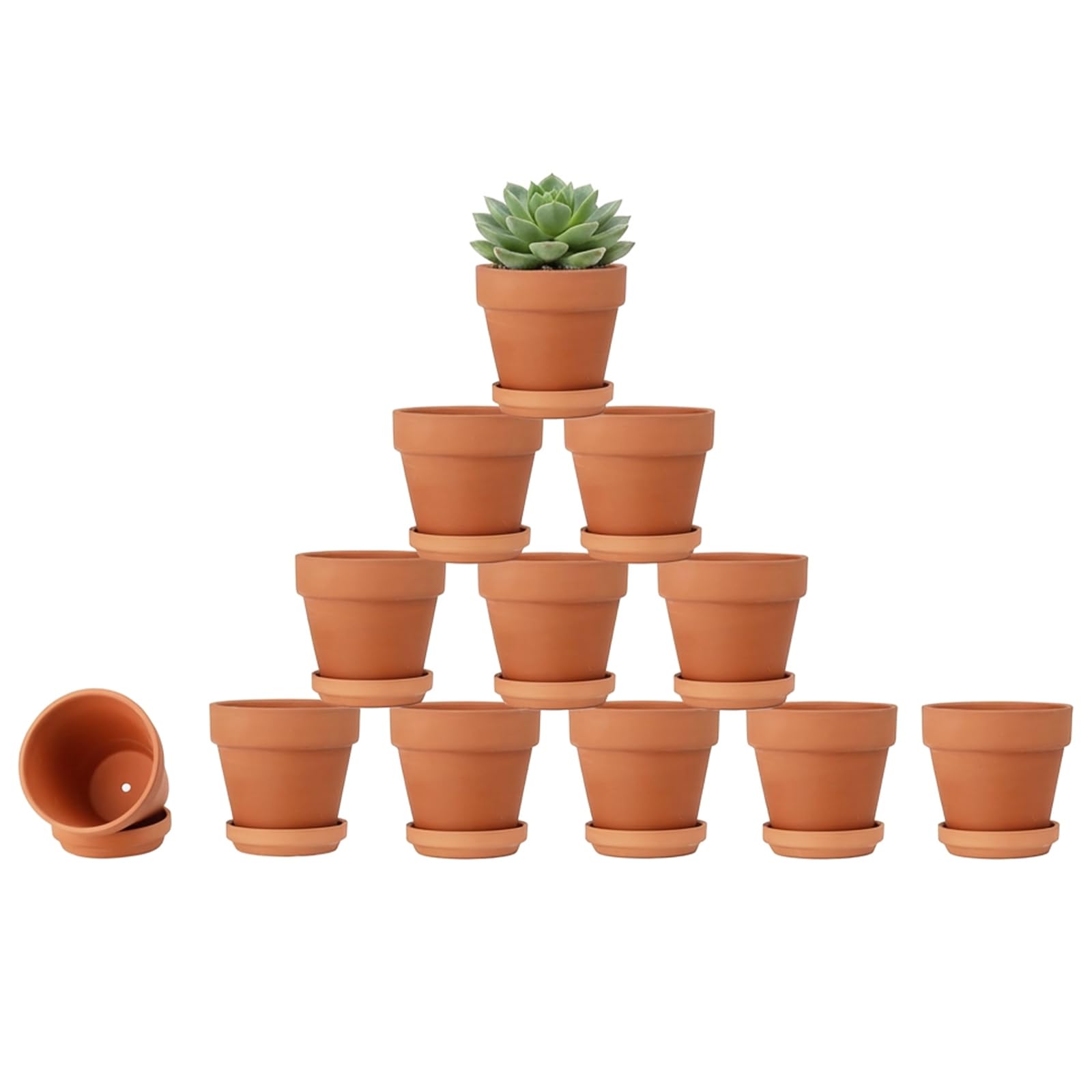 Riseuvo 3 Inch Terra Cotta Pots