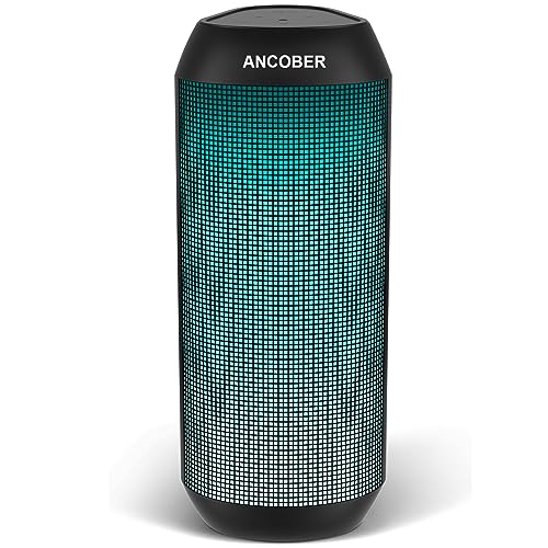Mini Speaker with Carry Case Bass Radiator Portable Speaker 5 0 for Outdoors Home Showe Color D D