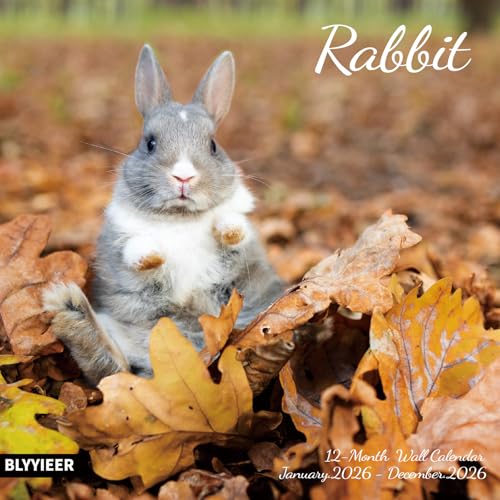2026 Rabbit Monthly Wall Calendar