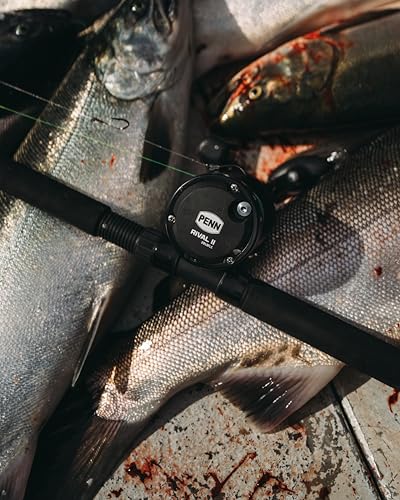 Image of PENN Rival Level Wind Conventional Fishing Reel