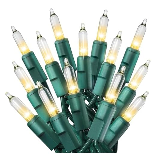 PREXTEX Christmas Lights (20 Feet, 100 Lights) - Clear White Christmas Tree Lights with Green Wire - Indoor/Outdoor String Lights - Warm White Twinkle Lights
