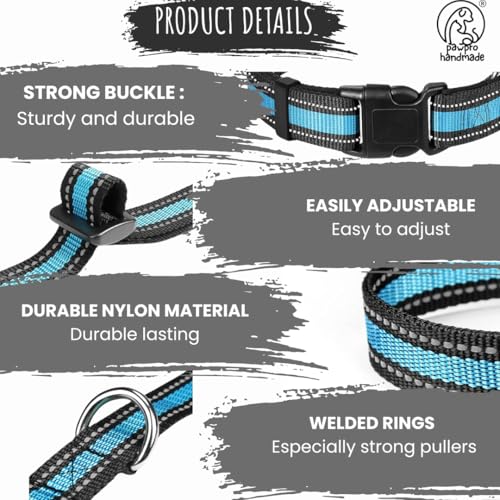 Image of PawPro Reflective Nylon Dog Collar - Custom Bone Tag with 5‑Foot Heavy‑Duty Leash - Soft Padded Handle, 360 Swivel Clip - Adjustable Pet Collar for Medium & Large Dogs (Frosted Blue, Collar+Leash)