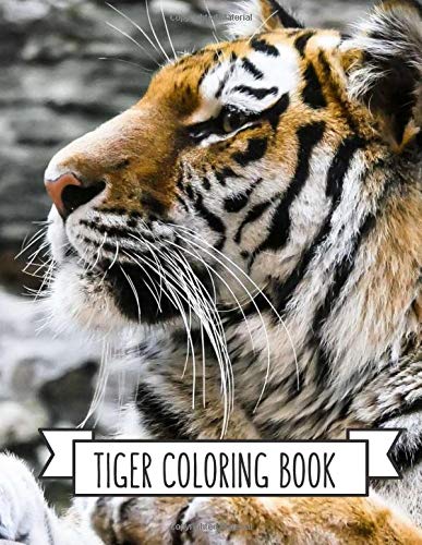 Tiger Coloring Book: Coloring Toy Gifts for Kids or Adults | Cute Easy and Relaxing Realistic Animal Large Print Birthday Gifts