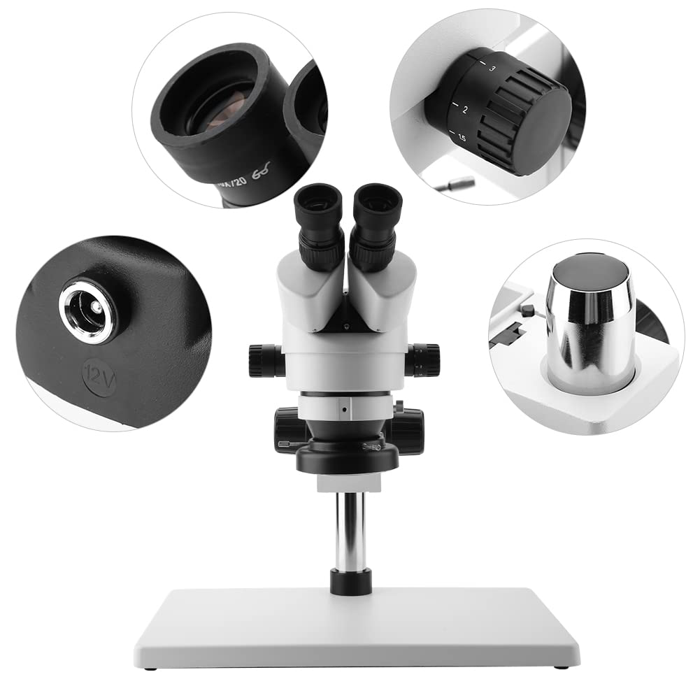 Microscopio Estéreo Binocular ,Visión Binocular Ajustable Microscopio con Zoom Binocular de Larga Distancia para Arqueología de Joyería(Enchufe de la UE)
