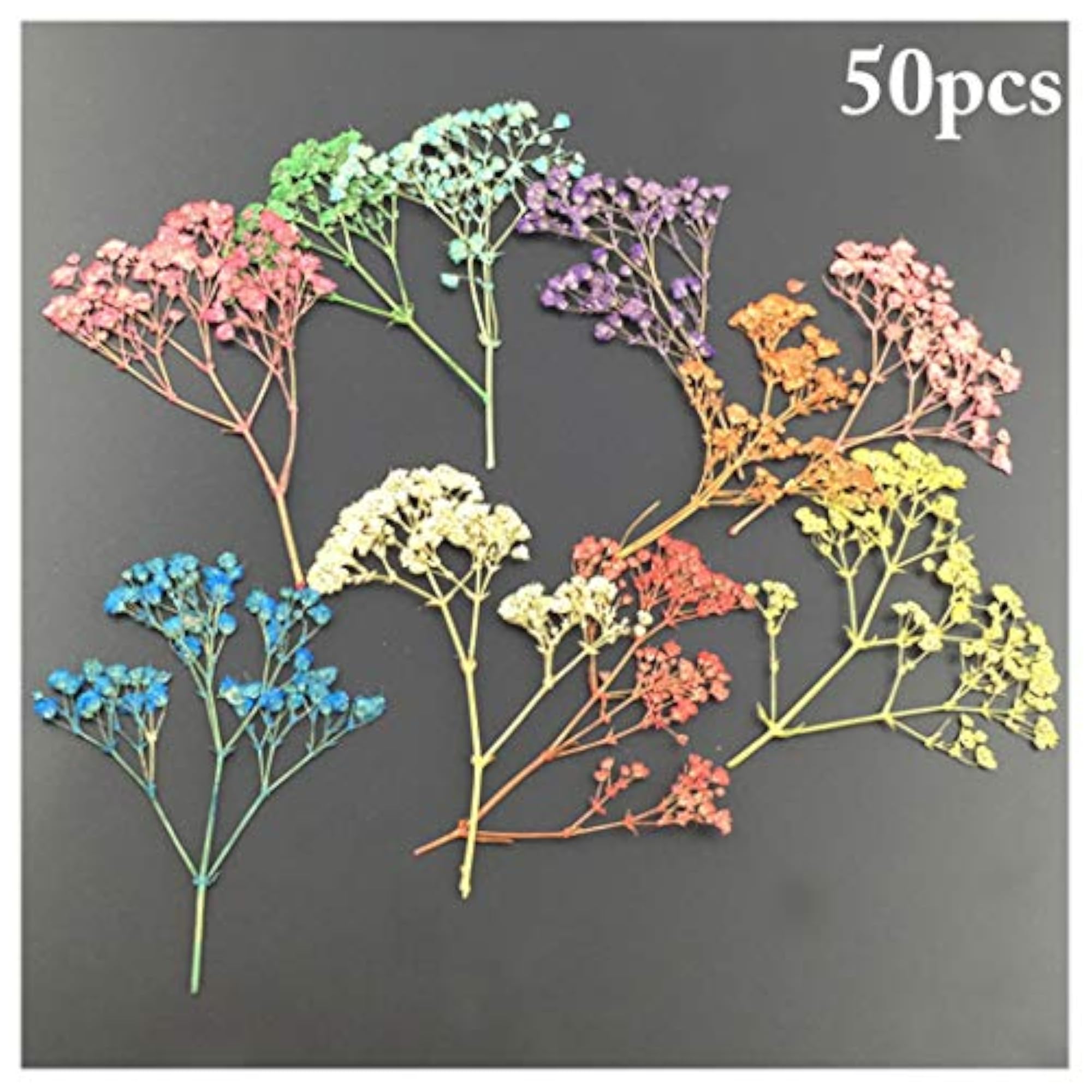 50PCS Multipurpose Dried Flower Craft Material Kit