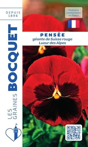 Sachet de graines de Pensée géante de Suisse rouge Lueur des Alpes - 0,5 g - fleur bisannuelle - LES GRAINES BOCQUET