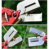 koncy B095LJYJJK lato 3