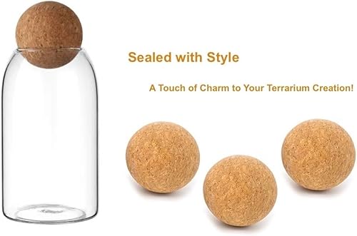 Miniatura 3 de Terrario de vidrio con tapa de madera hermética (corcho de bola)  Maceta de terrario cerrado  Contenedor de botella de vidrio transparente  27.1 fl