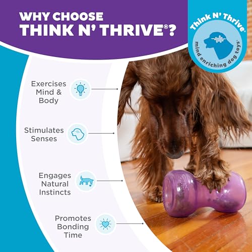 Planet Dog by Outward Hound Double Snoop Interactive Treat Stuffer Durable Dog Toy, Dog Treat Toy, Purple