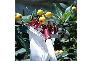 Cherry Picker Picker Cherry Peach Pear Picker Fruit Tree Pickers Harvesting Tools
