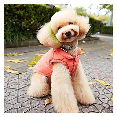 Vêtement chaud pour petit chien bleu ciel | Manteau d'hiver taille S - 6