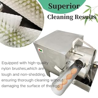 Yokoma Automatic Egg Washing Machine 201 Stainless Steel Nylon Brush Egg Cleaning Machine for Chicken/Duck Eggs 2000 pcs/Hour 280W 110V/220V Compatible