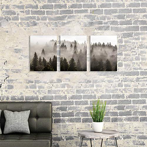 Hardy Gallery Foggy Forest Picture Wall Art: Landscape Painting Misty Pine Trees Artwork Print On Canvas For Kids Rooms(16"X12"X3Pcs) #TOP4