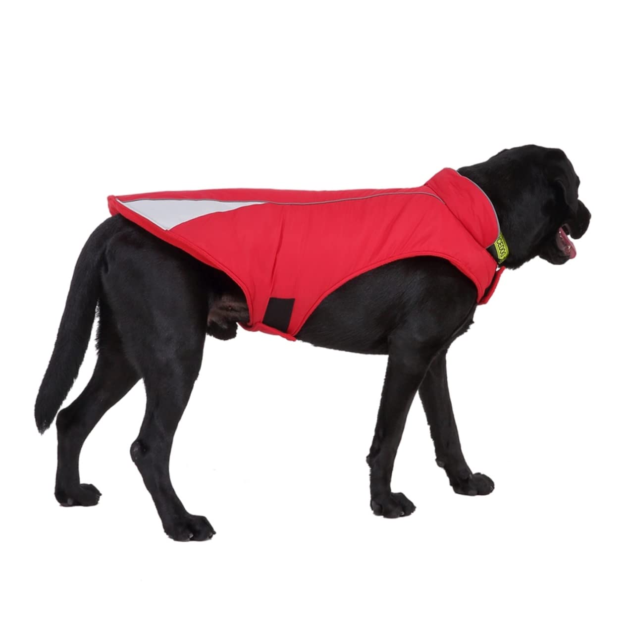 Manteaux de Pluie pour Chien imperméables, imperméable pour Chien, 2 pièces en Tissu pour Chien de fête, Gilet réflecteur pour Animal de Compagnie, vêtements p