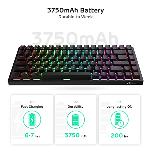 RK ROYAL KLUDGE RK84 Wireless RGB 75% Triple Mode BT5.0/2.4G/USB-C Hot Swappable Mechanical Keyboard, 84 Keys Wireless Gaming Keyboard w/High-Capacity Battery, Clicky Blue Switch
