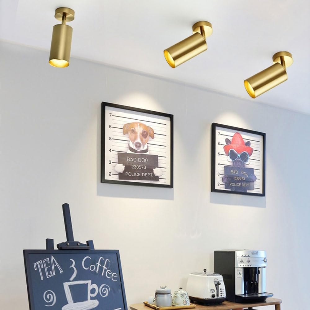 Faretti LED da Soffitto Faretti Da Soffitto Regolabili Da 2 Pezzi, Montaggio Semi-incassato In Metallo, Faretti Direzionali E27, Illuminazione D'accento For Interni, Lampade Da Parete Girevoli