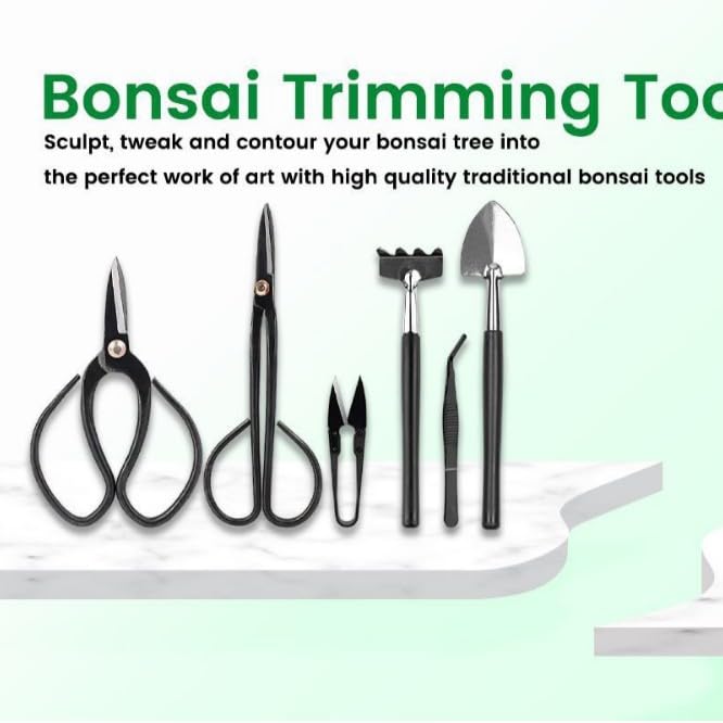 Kit bonsai per albero bonsai Set di Attrezzi da Giardino 24 pezzi Strumenti attrezzi principianti include forbici Idea Regalo ottimo per Bonsai piante giardinaggio
