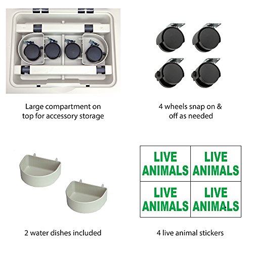 SportPet Designs Double Wire Door Plastic Kennel (CM-0699-CS01)