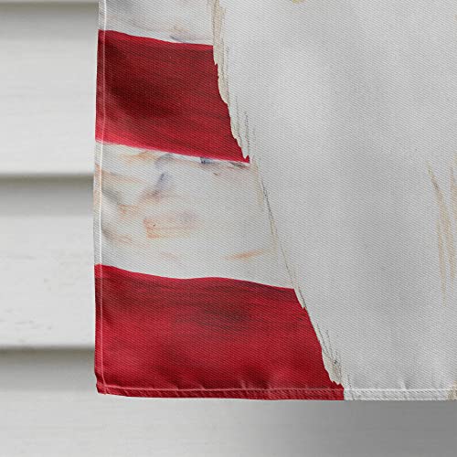 Drapeau USA Rough Collie grand format multicolore résistant aux intempéries extérieures - 5
