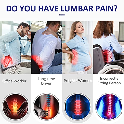 Villsure Lumbar Support Pillow Back Cushion For Office Chair,Car,Computer,Recliner Memory Foam Ergonomic Orthopedic Backrest Back Support For Back Pain Relief,3D Mesh Cover Double Adjustable Straps #TOP2