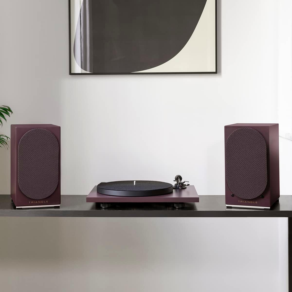 triangle - AIO Twin - Wi-Fi & Bluetooth Active Bookshelf Speakers with 2x50W Amplifier - HD Audio - Phono/Turntable + Optical TV Inputs - 165 x 304 x 235 mm - Purple (Pair)