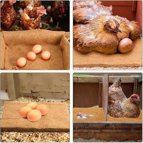 Coussinets de nidification poulet 10pcs tapis de ponte lavable et confortable pour chick coop
